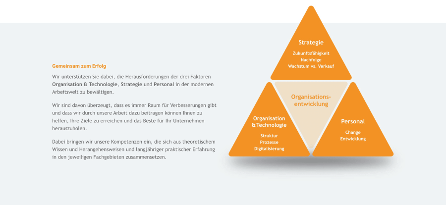 Webseite Opti-Consult