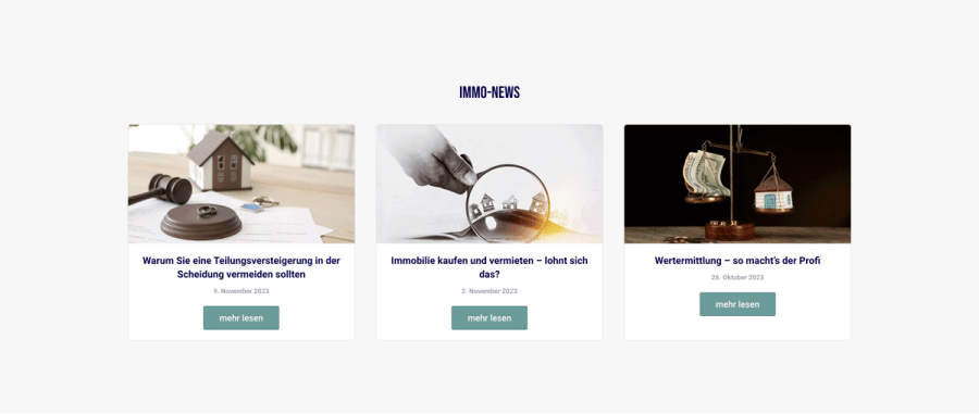 Webseite RheinNeckar Immobilien