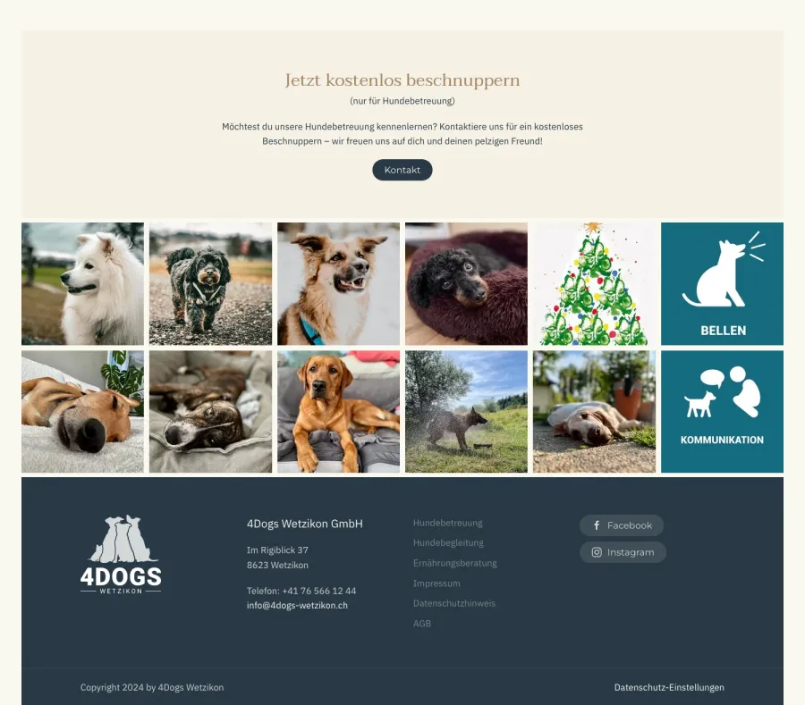 Webseite 4Dogs Hundebetreuung