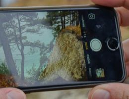 Blog Beitragsbild zu: Zurück zu den Wurzeln – Instagram als Foto-Plattform