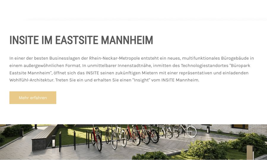Webseite INSITE Mannheim