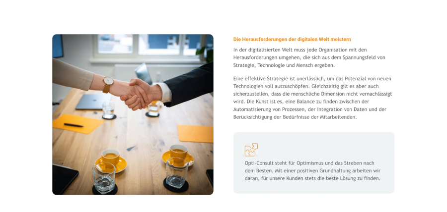 Webseite Opti-Consult