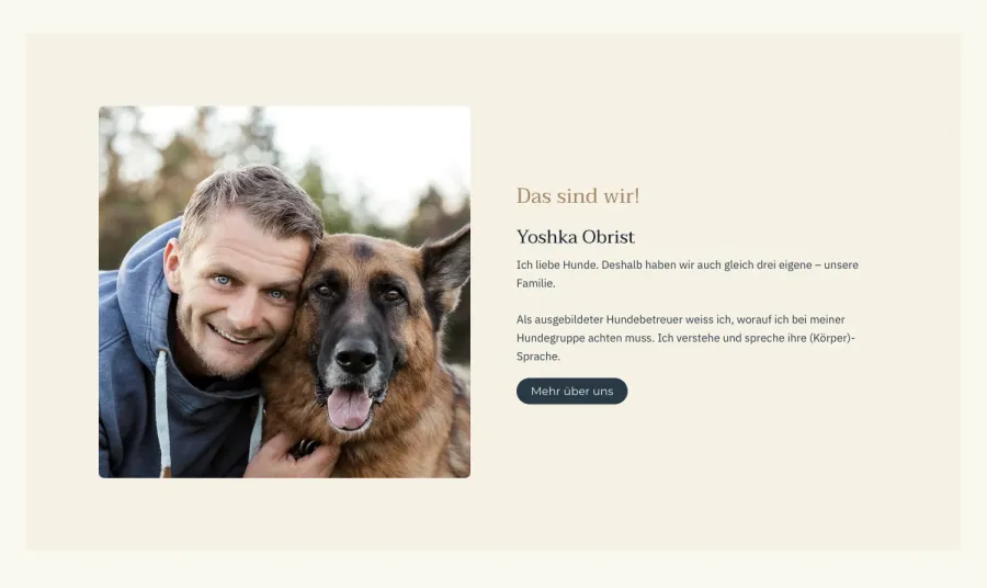 Webseite 4Dogs Hundebetreuung