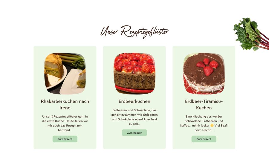 Webseite Andreashof Zürker