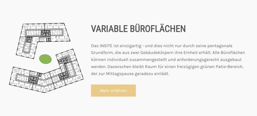 Webseite INSITE Mannheim