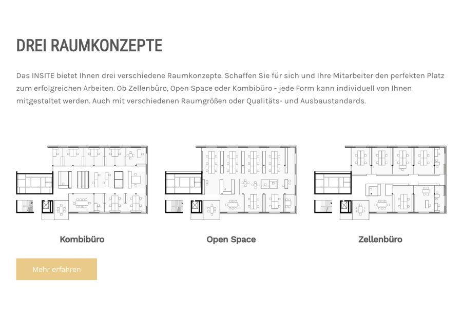 Webseite INSITE Mannheim