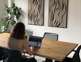 Blog Beitragsbild zu: Johannas Praktikum bei sun concept