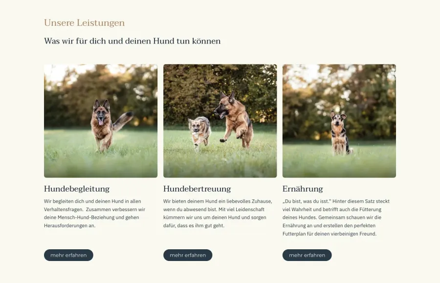 Webseite 4Dogs Hundebetreuung