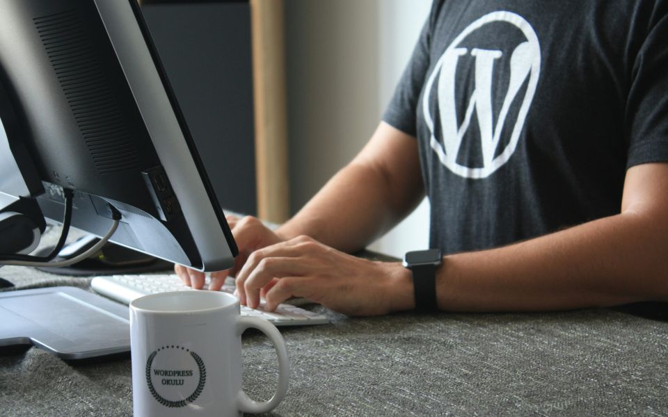 Person mit WordPress T-Shirt tippt am Computer